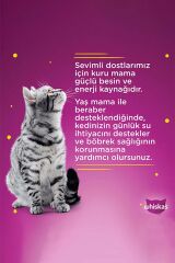 Yavru Kümes Hayvanlı Poşet Kedi Mama 85 gr X 24