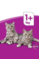 Yavru Kümes Hayvanlı Poşet Kedi Mama 85 gr X 24