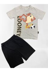 Erkek Çocuk Tazmanya Canavar Baskılı Short & T- Shirt 2’li Yazlık Takım-gri GRİ 6 Yaş Erkek